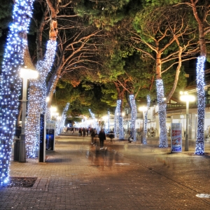 LED Lichterkette 20m 200 MaxiLed kaltwei�  Kabel gr�n