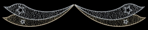 Led Fl�gel mit Sterne, 800 wei�e - 600 warmw. Leds,700x100cm